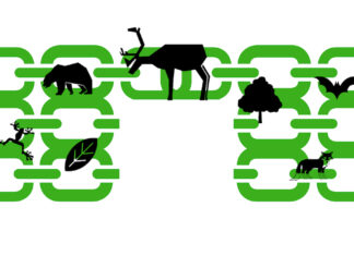 Will food chains break as seasons become more unpredictable?