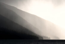 Observations on the Fact/Opinion Distinction in Expert Opinion Evidence