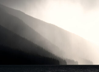 Observations on the Fact/Opinion Distinction in Expert Opinion Evidence