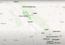 Stunning map predicts how wildlife will move to adapt to climate change