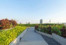 Circular cities of the world: what can green infrastructure do?