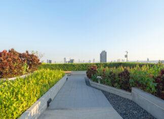 Circular cities of the world: what can green infrastructure do?