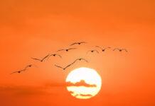 Explaining your world, today: New research questions old research