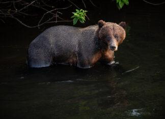 Explaining your world, today: Speaking of Divisiveness