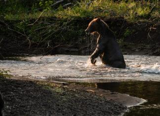 AI’s excessive water consumption threatens to drown out its environmental contributions