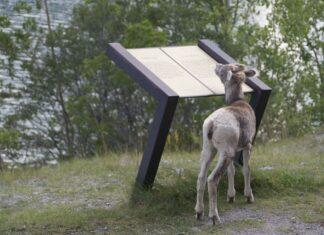 How we selected articles and analyzed media bias: