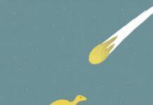 From Purpose to Impact