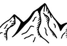 On the Stubborn Whiteness of Environmentalism