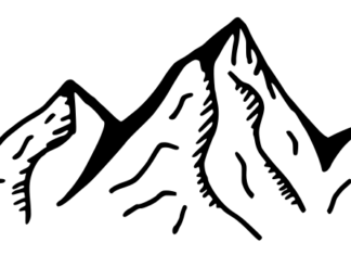 On the Stubborn Whiteness of Environmentalism