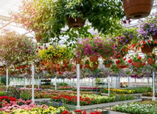 Growing a garden can also bloom eco-resilient, cross-cultural, food-sovereign communities