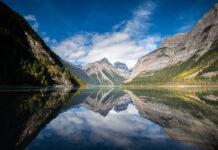 ‘A momentous day for nature’: EU approves first-of-its-kind law that could bring back biodiversity