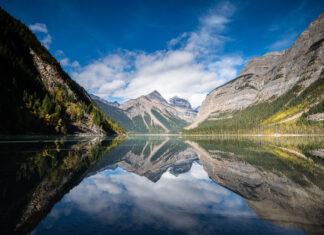 COP16: Can we actually help biodiversity?