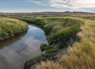 Saskatchewan Election Update #6