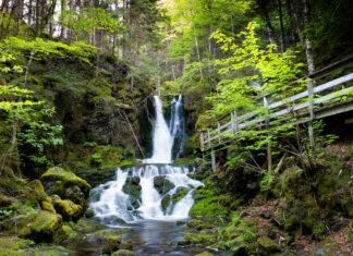 New Brunswick Election Update #2