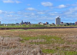 New Brunswick Election Update #4