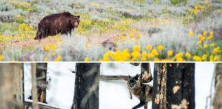 Canada, we have a problem.