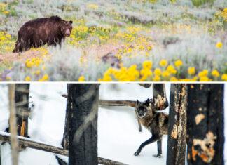 Canada, we have a problem.