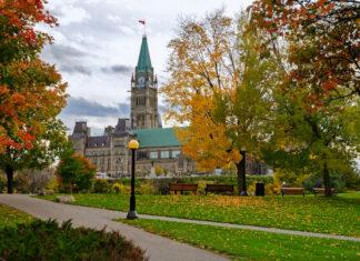 Surprise! Federal Election Called.