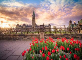 Federal Election: Part Eleven – OK, What’s Next?