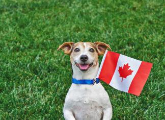 Federal Election: Part Two – The Polls and the Pathways to Victory