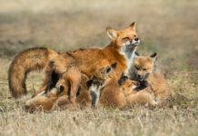 International Women’s Day