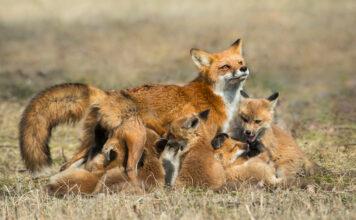 International Women’s Day