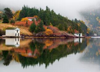 Newfoundland & Labrador Election: #2 – The Players (no incumbents!)