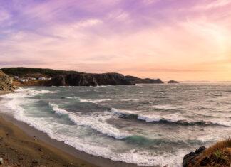 Newfoundland & Labrador Election: #5 – The Polls & the Youth Vote