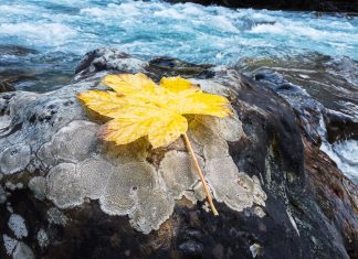 Canadian Environment Week – Day 1