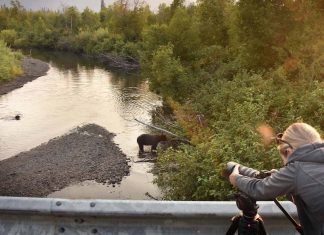 Protected: Hannah Creek