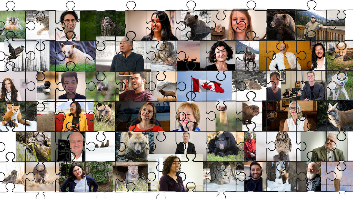 760 puzzle pieces humans animals copy (1) (1)
