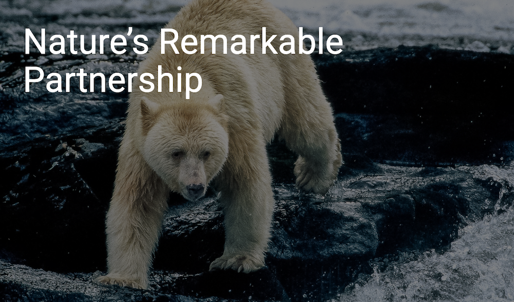 nature remarkable partnership